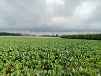 Afbeelding van WhatsApp op 2024-07-04 om 20.45.25_af5c1019