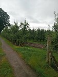 Afbeelding van WhatsApp op 2024-07-04 om 20.45.28_4f6647a5