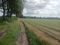 Afbeelding van WhatsApp op 2024-07-07 om 19.40.47_f3f5b61b