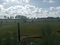 Afbeelding van WhatsApp op 2024-07-07 om 19.40.50_e801a5b2