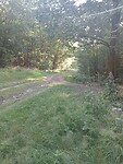 Afbeelding van WhatsApp op 2024-07-09 om 16.29.45_6e693940