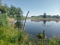 Afbeelding van WhatsApp op 2024-07-11 om 19.53.17_38ed3756