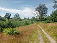 Afbeelding van WhatsApp op 2024-07-11 om 19.53.18_10abdacb