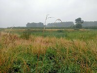 Afbeelding van WhatsApp op 2024-07-12 om 19.07.48_0666d421