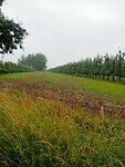 Afbeelding van WhatsApp op 2024-07-12 om 19.07.48_fd835f96