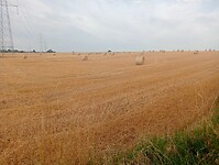 Afbeelding van WhatsApp op 2024-07-19 om 14.34.22_0f650f16