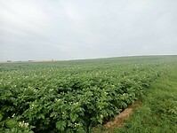 Afbeelding van WhatsApp op 2024-07-19 om 14.34.22_aabec925