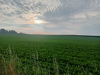 Afbeelding van WhatsApp op 2024-07-19 om 14.34.22_efbf02d8