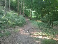 Afbeelding van WhatsApp op 2024-07-20 om 17.27.03_c018edd1