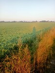 Afbeelding van WhatsApp op 2024-07-20 om 17.27.07_15ea2023