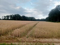 Afbeelding van WhatsApp op 2024-07-21 om 12.50.21_0aeb4116