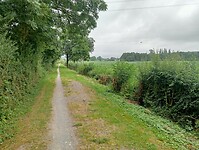 Afbeelding van WhatsApp op 2024-07-24 om 20.29.08_f28211ca