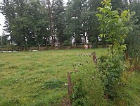Afbeelding van WhatsApp op 2024-07-26 om 19.57.43_71222cea