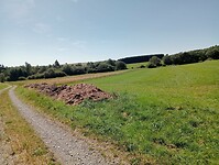 Afbeelding van WhatsApp op 2024-08-10 om 16.46.39_a76001ae