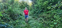 Afbeelding van WhatsApp op 2024-08-16 om 19.18.19_81247113