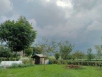 Afbeelding van WhatsApp op 2024-09-02 om 17.20.17_9ca15668