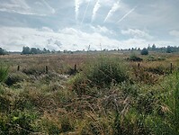 Afbeelding van WhatsApp op 2024-09-03 om 18.53.39_a20c1f42
