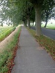 Afbeelding van WhatsApp op 2024-09-22 om 18.47.05_8ba9099c