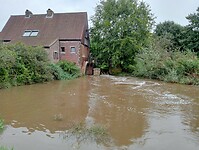 Afbeelding van WhatsApp op 2024-09-26 om 16.18.18_387fdfd2