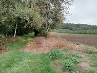 Afbeelding van WhatsApp op 2024-09-26 om 16.18.18_c514d580