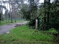 Afbeelding van WhatsApp op 2024-10-01 om 20.50.20_39501f6c