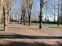 Afbeelding van WhatsApp op 2025-02-26 om 16.15.30_e944741d