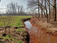 Afbeelding van WhatsApp op 2025-03-02 om 15.22.15_ca99f5f7