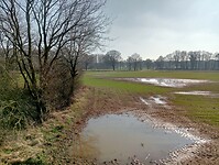 Afbeelding van WhatsApp op 2025-03-02 om 15.22.16_43074523