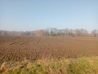 Afbeelding van WhatsApp op 2025-03-02 om 15.22.21_1ce82995
