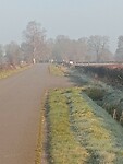 Afbeelding van WhatsApp op 2025-03-02 om 15.22.22_c7507e11