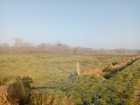 Afbeelding van WhatsApp op 2025-03-02 om 15.22.23_977f2682