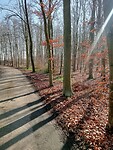 Afbeelding van WhatsApp op 2025-03-03 om 17.25.56_1821a593