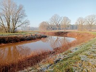 Afbeelding van WhatsApp op 2025-03-03 om 17.25.58_2559f526