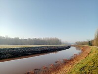 Afbeelding van WhatsApp op 2025-03-03 om 17.25.58_b2864edc