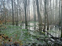 Afbeelding van WhatsApp op 2025-03-03 om 17.26.00_b0428271