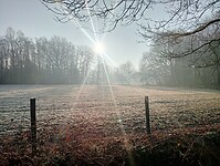 Afbeelding van WhatsApp op 2025-03-03 om 17.26.02_778eedd4