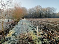 Afbeelding van WhatsApp op 2025-03-03 om 17.26.02_17651661