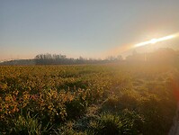 Afbeelding van WhatsApp op 2025-03-05 om 16.05.18_a13fafdb