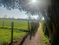 Afbeelding van WhatsApp op 2025-03-05 om 16.05.18_f2010305
