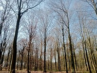 Afbeelding van WhatsApp op 2025-03-07 om 15.20.23_9055f36c