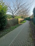 Afbeelding van WhatsApp op 2025-03-07 om 15.20.30_f9c36c4c