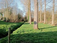 Afbeelding van WhatsApp op 2025-03-07 om 15.20.34_f2f0d435