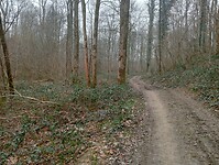 Afbeelding van WhatsApp op 2025-03-11 om 14.07.11_5e6c0805