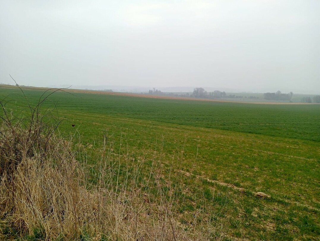 Afbeelding van WhatsApp op 2025-03-11 om 14.07.12_41ca8667