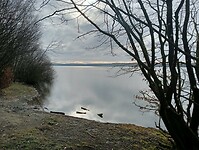 Afbeelding van WhatsApp op 2025-03-12 om 18.28.58_97d036e5