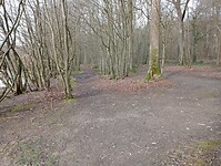 Afbeelding van WhatsApp op 2025-03-12 om 18.28.58_4733cbd9