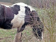 Afbeelding van WhatsApp op 2025-03-12 om 18.28.59_1f12c36c
