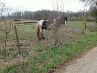 Afbeelding van WhatsApp op 2025-03-12 om 18.28.59_19ccebb9