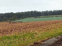 Afbeelding van WhatsApp op 2025-03-12 om 18.28.59_a00a9e73