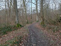 Afbeelding van WhatsApp op 2025-03-12 om 18.29.00_88f997d0